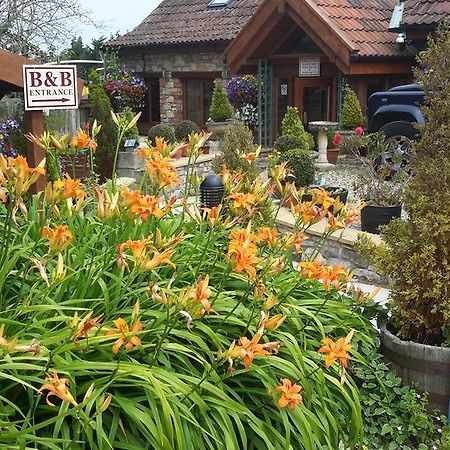Dundry Bridge Farm Guesthouse Rooms מראה חיצוני תמונה