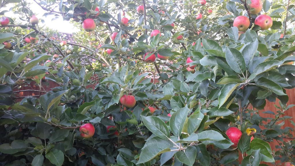 Dundry Bridge Farm Guesthouse Rooms מראה חיצוני תמונה